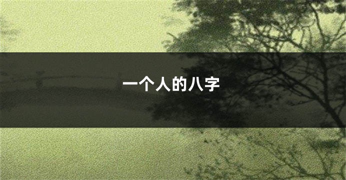 一个人的八字