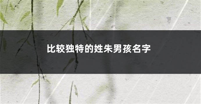 比较独特的姓朱男孩名字