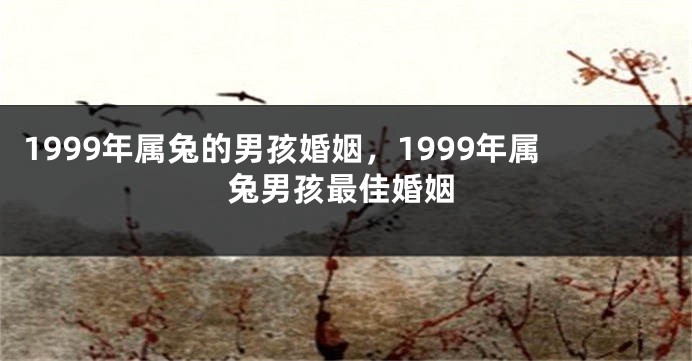 1999年属兔的男孩婚姻，1999年属兔男孩最佳婚姻