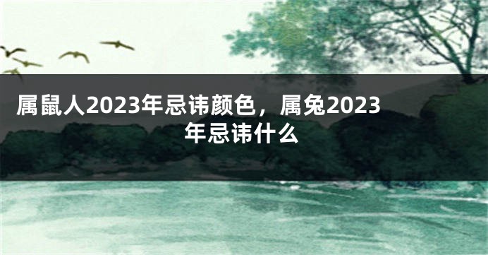 属鼠人2023年忌讳颜色，属兔2023年忌讳什么