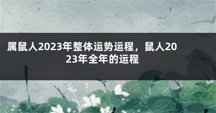 属鼠人2023年整体运势运程，鼠人2023年全年的运程