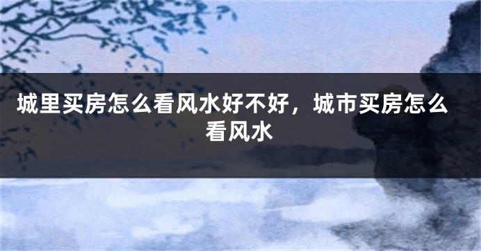 城里买房怎么看风水好不好,城市买房怎么看风水