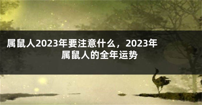 属鼠人2023年要注意什么，2023年属鼠人的全年运势