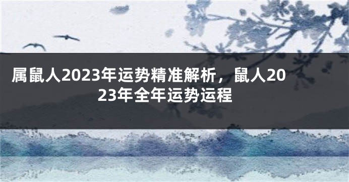 属鼠人2023年运势精准解析，鼠人2023年全年运势运程