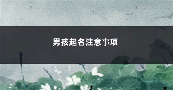 男孩起名注意事项
