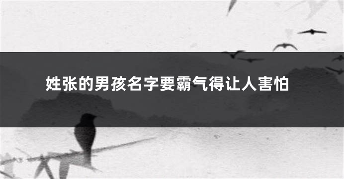 姓张的男孩名字要霸气得让人害怕