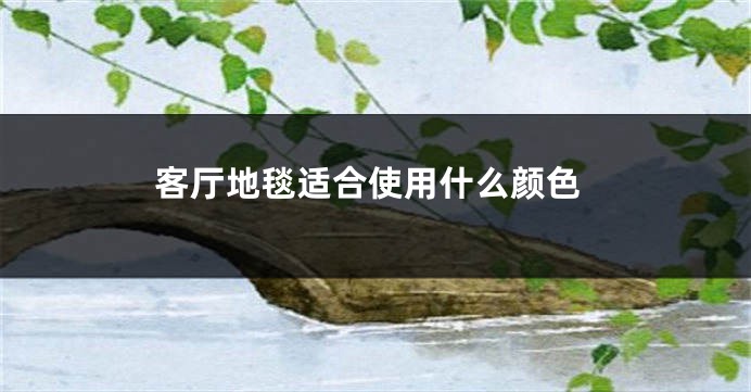 客厅地毯适合使用什么颜色