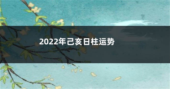 2022年己亥日柱运势