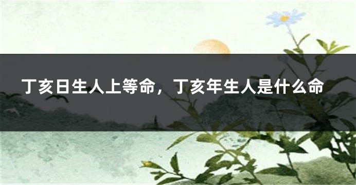 丁亥日生人上等命，丁亥年生人是什么命