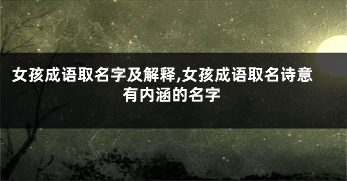 女孩成语取名字及解释,女孩成语取名诗意有内涵的名字