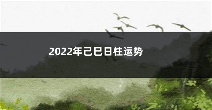 2022年己巳日柱运势