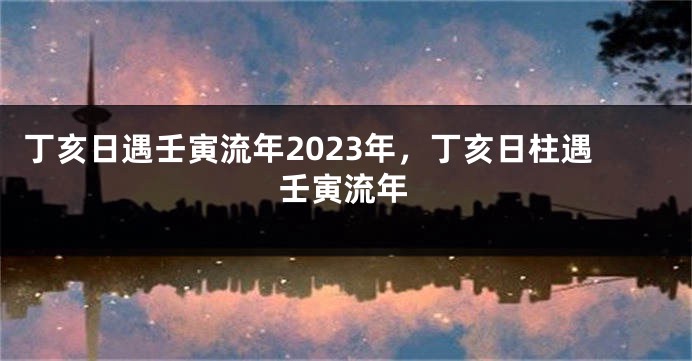 丁亥日遇壬寅流年2023年，丁亥日柱遇壬寅流年