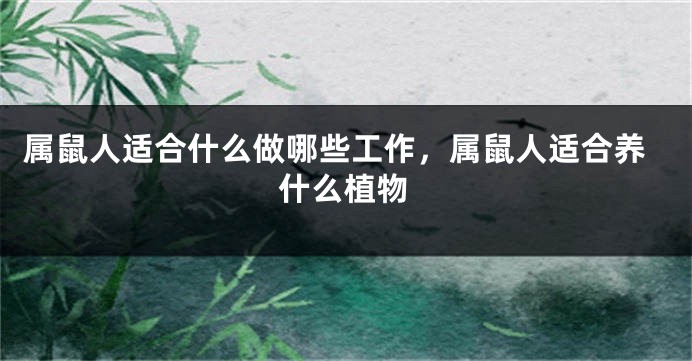 属鼠人适合什么做哪些工作，属鼠人适合养什么植物