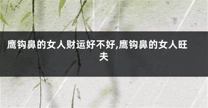 鹰钩鼻的女人财运好不好,鹰钩鼻的女人旺夫