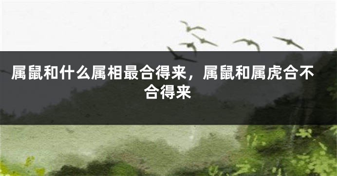 属鼠和什么属相最合得来，属鼠和属虎合不合得来