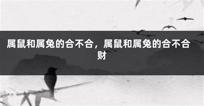 属鼠和属兔的合不合，属鼠和属兔的合不合财