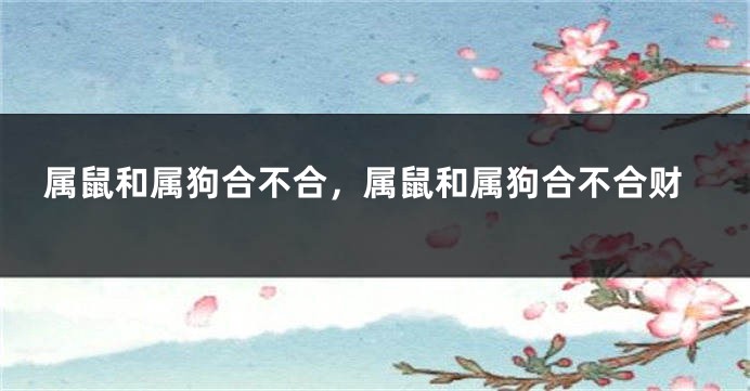 属鼠和属狗合不合，属鼠和属狗合不合财