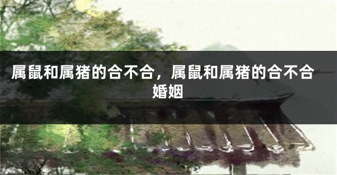 属鼠和属猪的合不合，属鼠和属猪的合不合婚姻