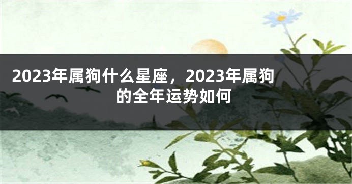 2023年属狗什么星座，2023年属狗的全年运势如何