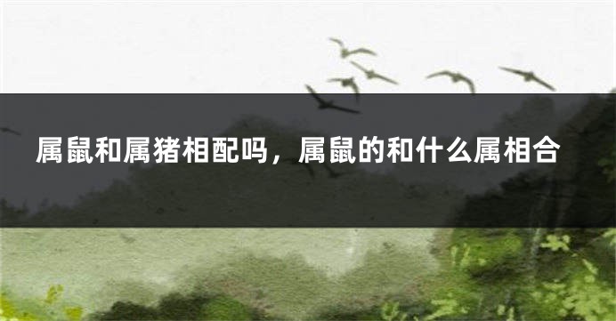 属鼠和属猪相配吗，属鼠的和什么属相合