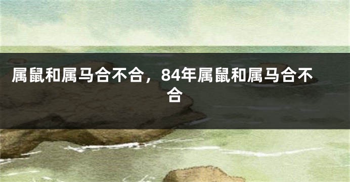 属鼠和属马合不合，84年属鼠和属马合不合