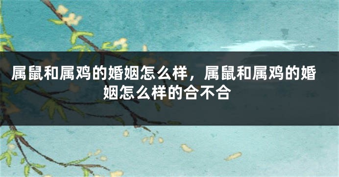 属鼠和属鸡的婚姻怎么样，属鼠和属鸡的婚姻怎么样的合不合