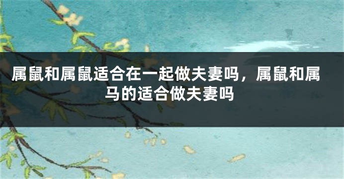 属鼠和属鼠适合在一起做夫妻吗，属鼠和属马的适合做夫妻吗