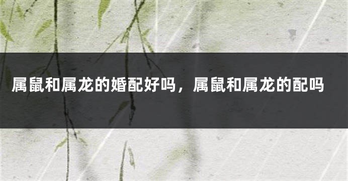 属鼠和属龙的婚配好吗，属鼠和属龙的配吗