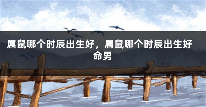 属鼠哪个时辰出生好，属鼠哪个时辰出生好命男
