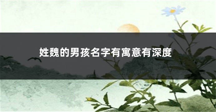 姓魏的男孩名字有寓意有深度