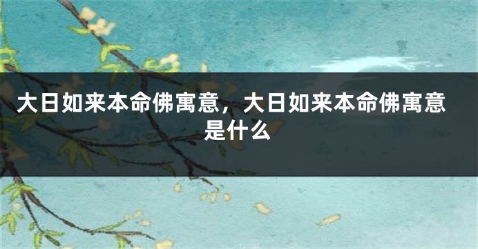 大日如来本命佛寓意，大日如来本命佛寓意是什么