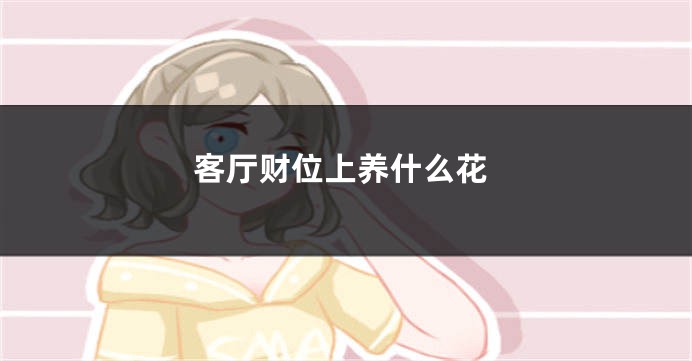客厅财位上养什么花