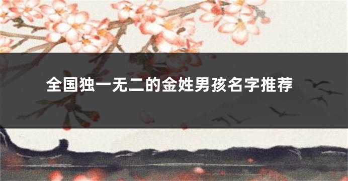 全国独一无二的金姓男孩名字推荐