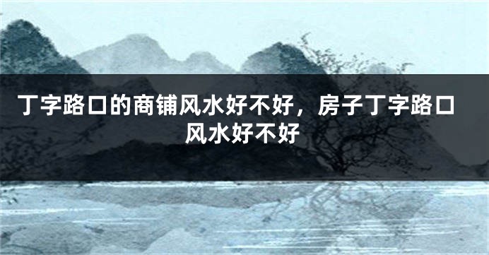 丁字路口的商铺风水好不好，房子丁字路口风水好不好