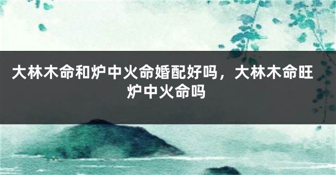 大林木命和炉中火命婚配好吗，大林木命旺炉中火命吗