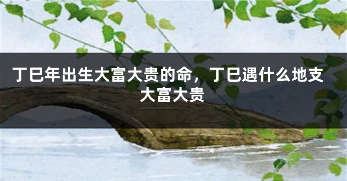 丁巳年出生大富大贵的命，丁巳遇什么地支大富大贵