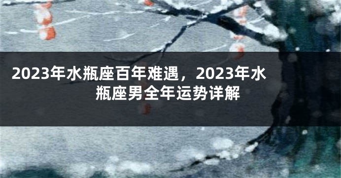 2023年水瓶座百年难遇，2023年水瓶座男全年运势详解