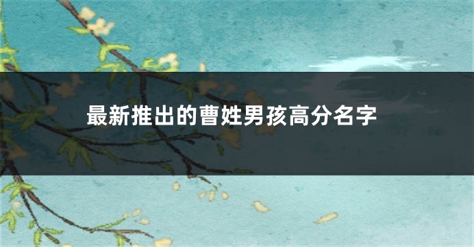 最新推出的曹姓男孩高分名字
