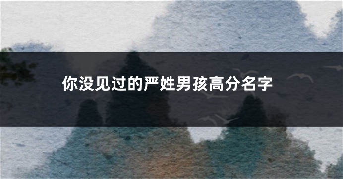 你没见过的严姓男孩高分名字