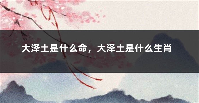 大泽土是什么命,大泽土是什么生肖