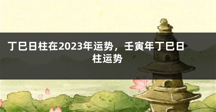 丁巳日柱在2023年运势，壬寅年丁巳日柱运势