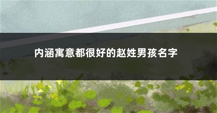 内涵寓意都很好的赵姓男孩名字