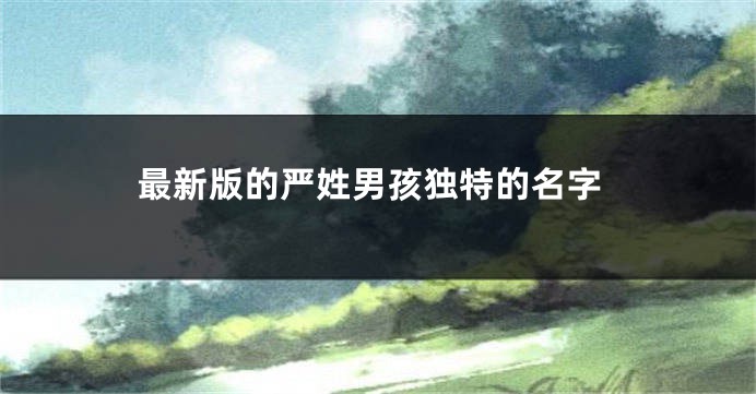 最新版的严姓男孩独特的名字