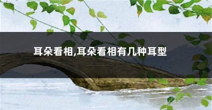 耳朵看相,耳朵看相有几种耳型