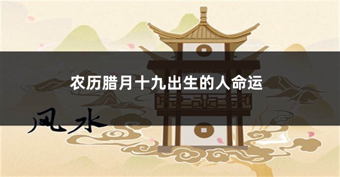农历腊月十九出生的人命运