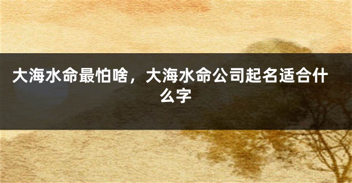 大海水命最怕啥，大海水命公司起名适合什么字