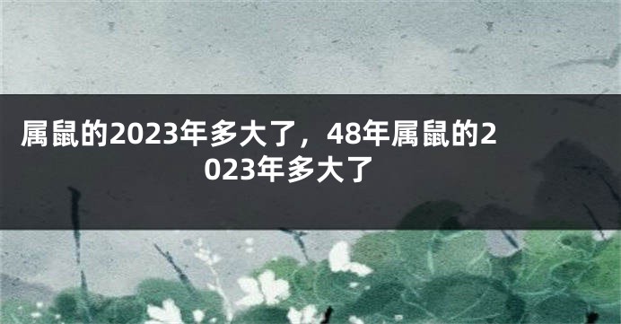 属鼠的2023年多大了，48年属鼠的2023年多大了
