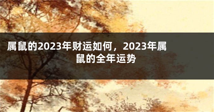 属鼠的2023年财运如何，2023年属鼠的全年运势