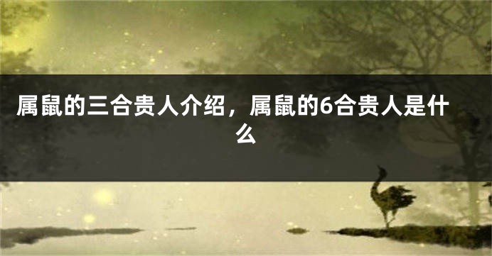 属鼠的三合贵人介绍，属鼠的6合贵人是什么