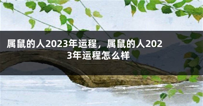属鼠的人2023年运程，属鼠的人2023年运程怎么样